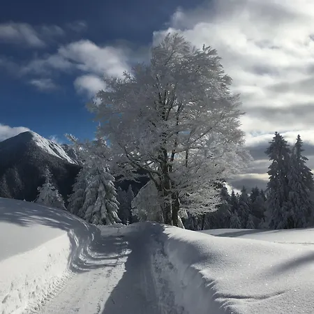 Apartmenthaus Rabitschhof Seefeld w Tirolu