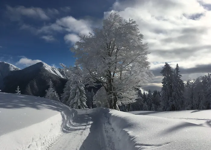 Apartmenthaus Rabitschhof Seefeld in Tirol