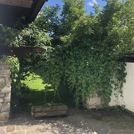 公寓 Apartmenthaus Rabitschhof 蒂罗尔-泽费尔德